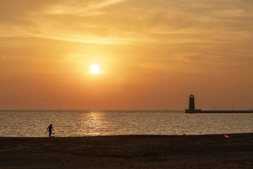 日出东方在线观看,日出东方在线观看之旅