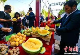 临县吃瓜事件最新爆料,惊人内幕曝光，真相令人震惊！